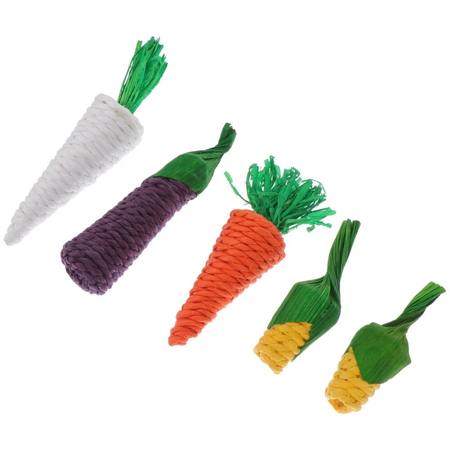 5pcs Guinea Schweine Gefälschte Karotten Hamster Übung Spielzeug
