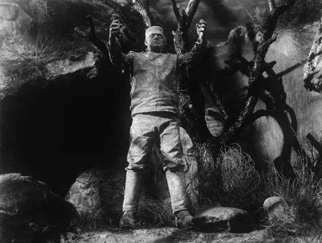 Lon Chaney Jr Ghost Of Frankenstein Monster Classic 8X10 Photo 2A