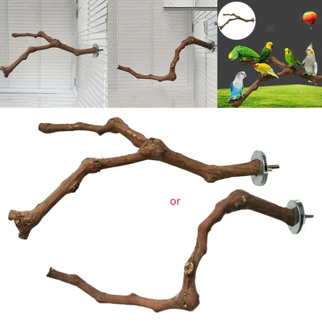 Holz Papagei Vogelständer Ast Haustier Wellensittich Spielzeug Sitzstangen