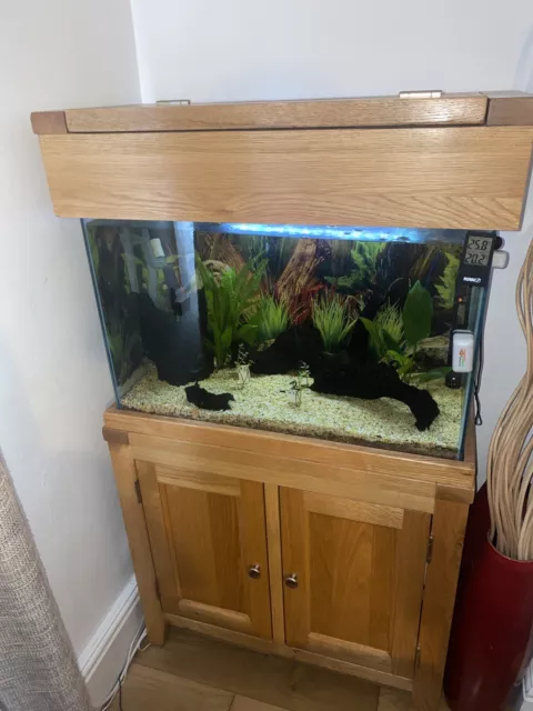 Solid Oak Fish Tank Cabinet Vivarium