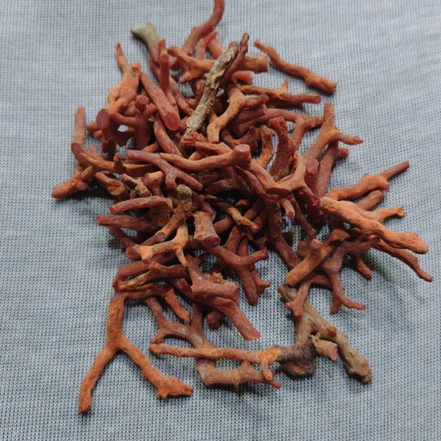 Pierres précieuses corail rubis - Perles élégantes pour la création de bijoux