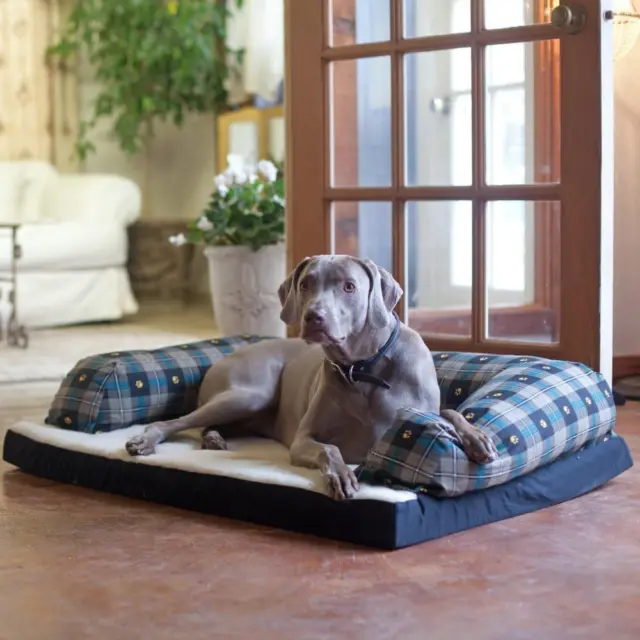 Baxter Couch Bolster Dog Bed Fabric: Teal Paw Plaid, Size: Medium (25" L x...
