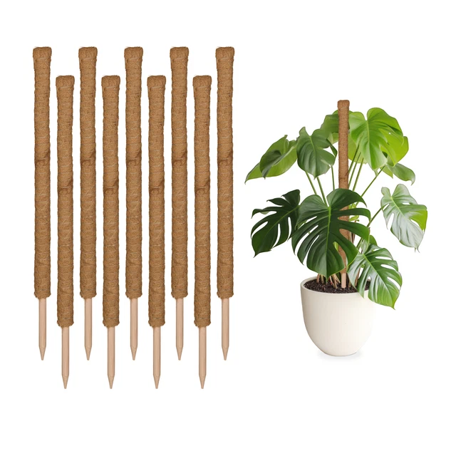 Tiges Bambou 200 Pièces 30cm - Loisirs Créatifs Et Tuteurs Plantes
