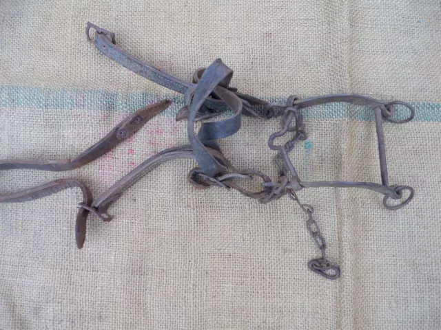 Antique Ottoman Empire Wrought Iron Horse Harness Bit Blacksmith Hand Forged 2