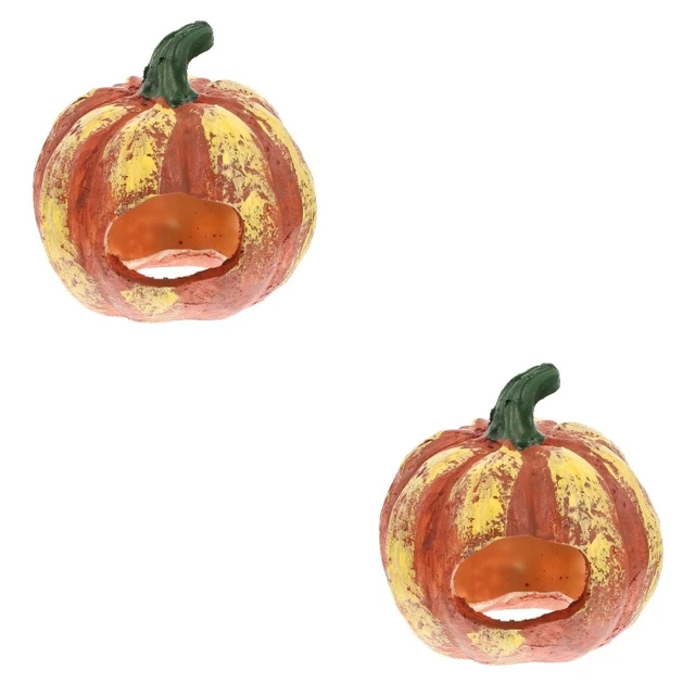Confezione da 2 confezioni casa grotta per pesce zucca resina grotta per terrari strisciare