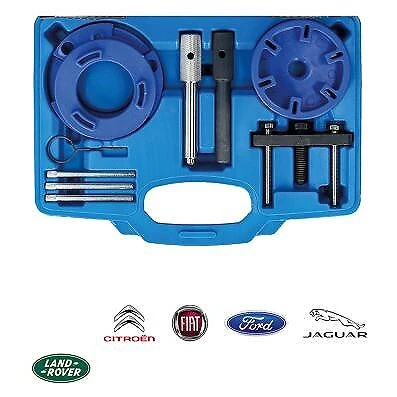 KS TOOLS Set Strumenti Regolazione Motore per Jaguar, Land Rover, Ford, Citroën