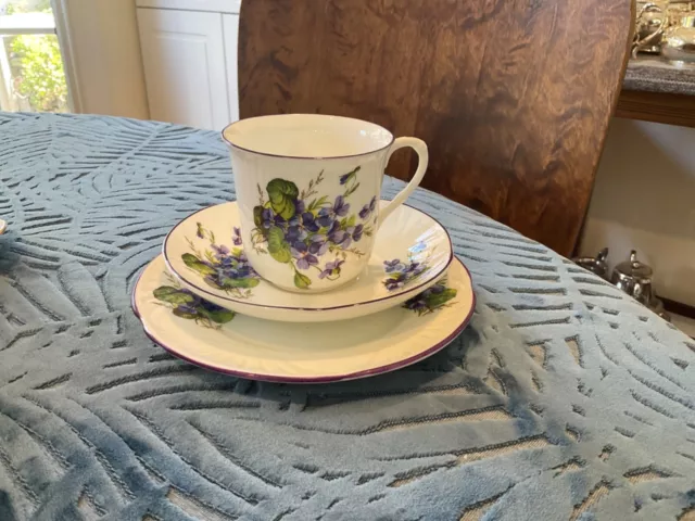 Beautiful Vintage Crown Staffordshire Cup, Saucer plate set Violets 2