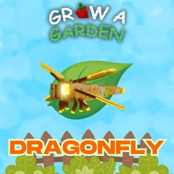 Disco Bee | Pet | Grow A Garden | GaG | Roblox • Opinie