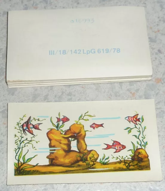 VEB VERO Puppenstuben-Zubehör Abziehbilder für Puppenhaus 2 Stück / 1 Motiv 1978