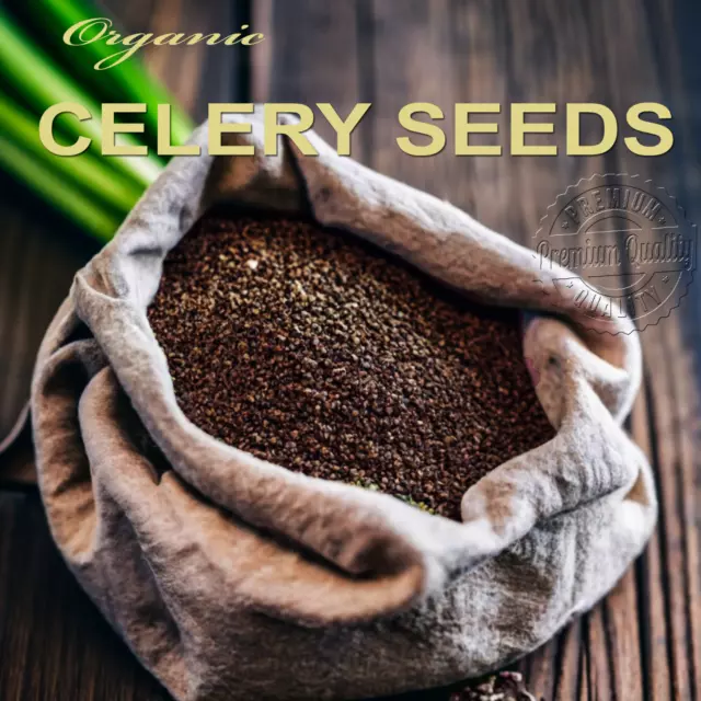 Celery Seeds Organic NO FILLERS 100% Pure All-Natural Premium Ultimate Superfood