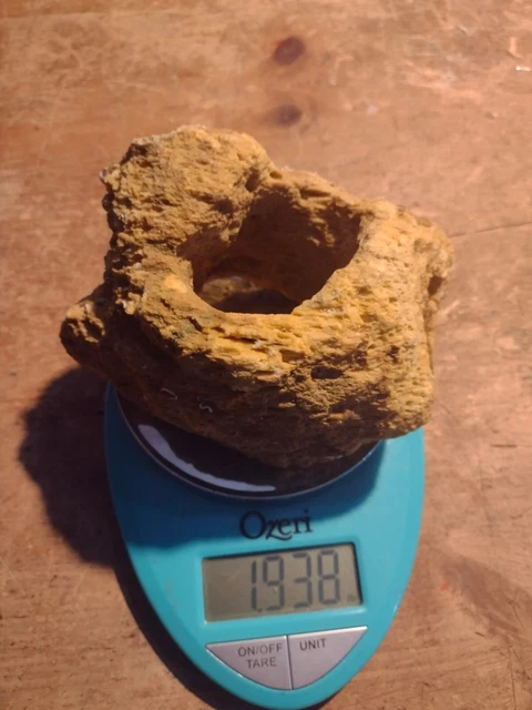 Marine/Saltwater Decorative Dry Live Rock (Unique Medium/Lg Piece)Fiji