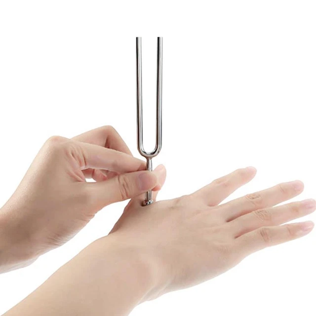 440 Hz TUNING FORK with Soft Shell Standard A Tuning Fork L6I4