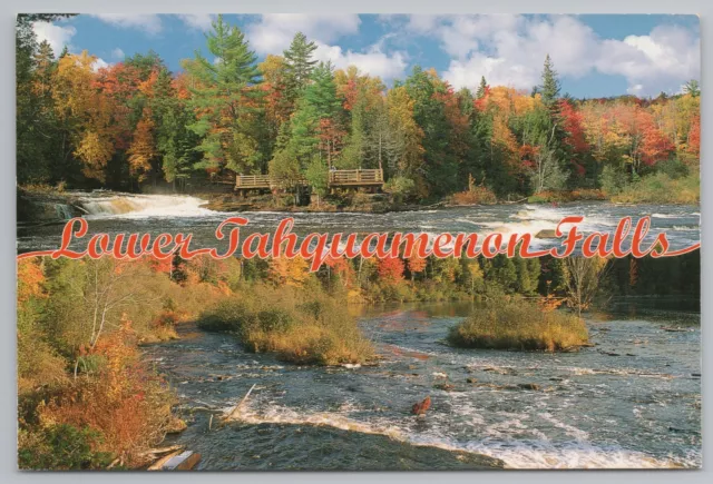 National & State Park~UP Michigan~Lower Tahquamenon Falls~Continental Postcard