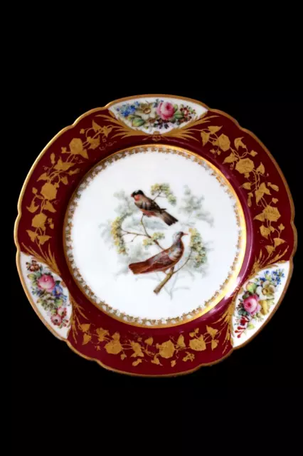 Antique Sevres Vincennes/ Old Paris ornithological cabinet plate 18th century