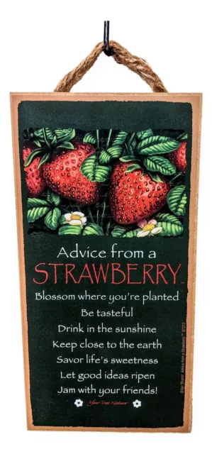 ADVICE FROM A STRAWBERRY Primitive Wood Hanging Sign 5" x 10"