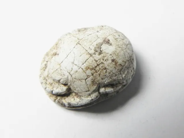 Zurqieh -Af341- Ancient Egypt , New Kingdom Stone Scarab. 1400 B.c 2