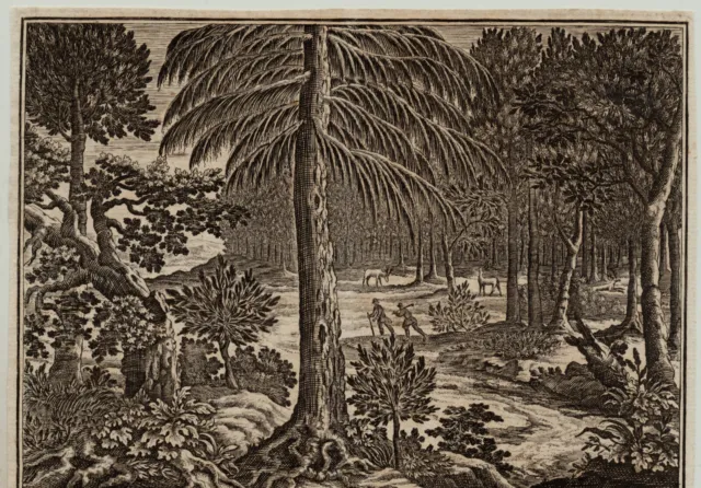 Baum Bäume fällen im WALD Orig. Kupferstich um 1720  Holz  Brennholz Winterholz