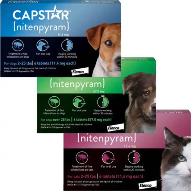 Capstar Flea Treatment Tablets 6 Pack Cats & Small Dogs or Large Dogs | AVM-GSL