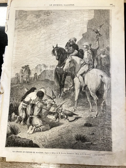 Antique Engraving Poster The Falcon Hunt Algeria Desert Horse Raptors