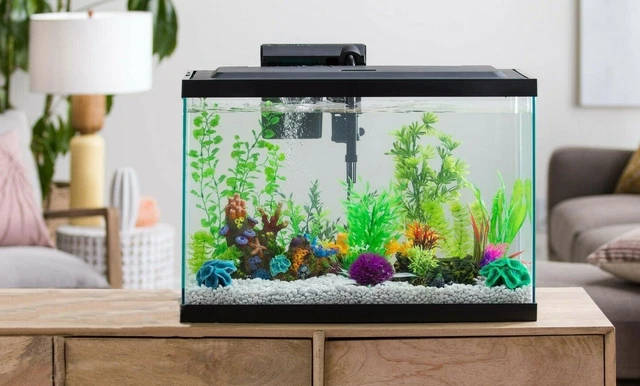 10 Gallon Fish Tank Home Office Betta Aquarium Kit Led Filter Pet Bowl Ornaments