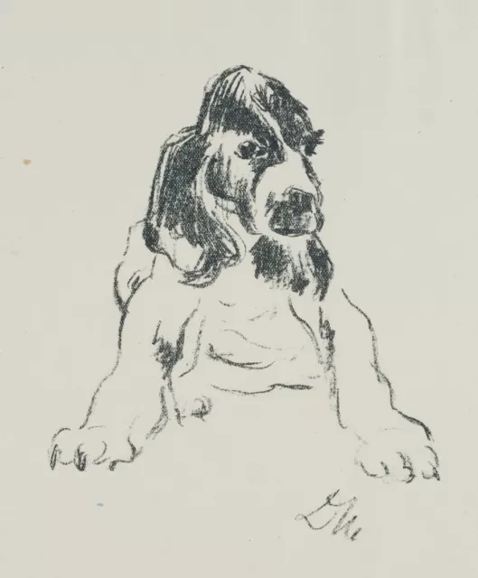 Unbekannt (20.Jhd), Hund in hockender Position, um 1900, Lith. Expressionismus