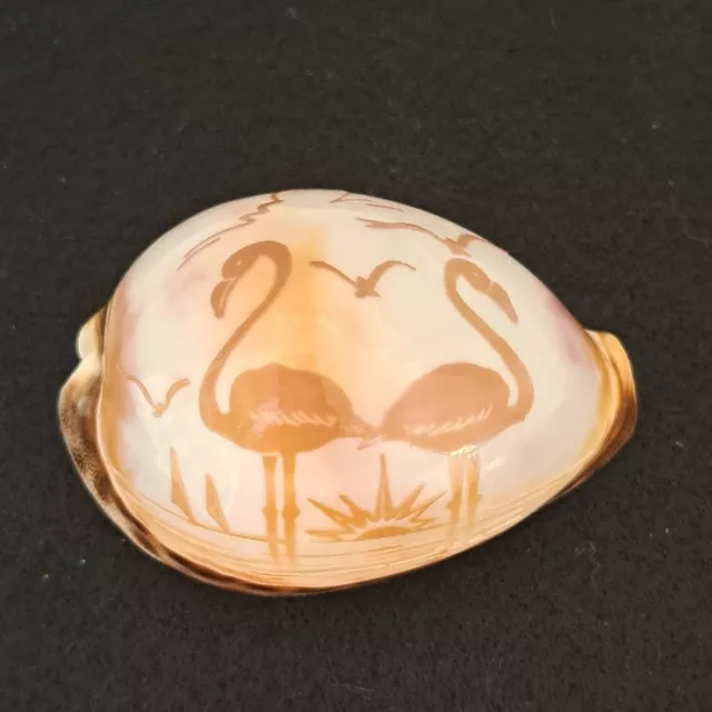 Carved Tiger Cowrie Shell Flamingos - 3 inches