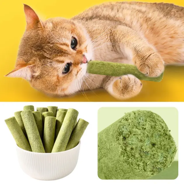 8x Cat Grass Sticks Pet Snacks Cat Food For Cats of Ages All Teeth Cat K3S1