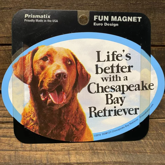 Oval Dog Breed Picture Car Magnet Life`s Better with a Chesapeake Bay Retriever