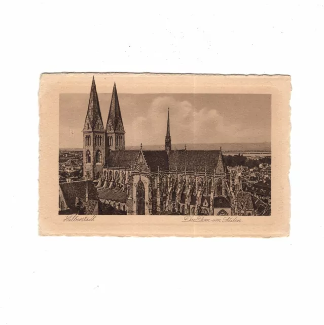 AK Ansichtskarte Halberstadt / Der Dom von Süden