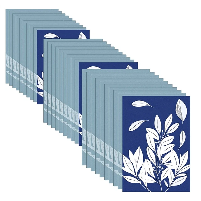 Kit Papier Impression Solaire Cyanotype 30 Feuilles A4 - Persistence Pour Enfants Et Adultes
