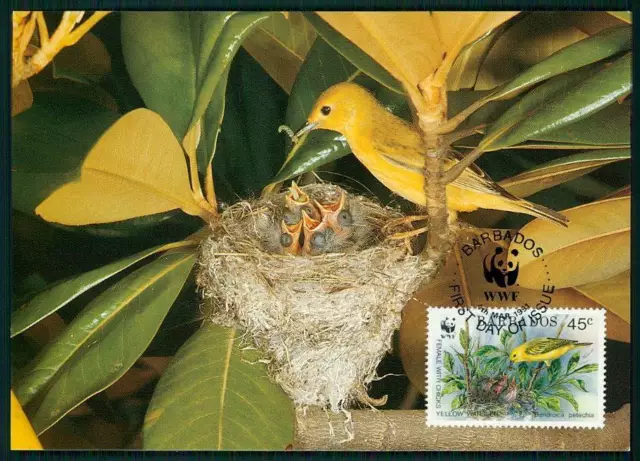 BARBADOS MK WWF FAUNA VÖGEL GOLDWALDSÄNGER YELLOW WARBLER MAXIMUMKARTE MC gv52