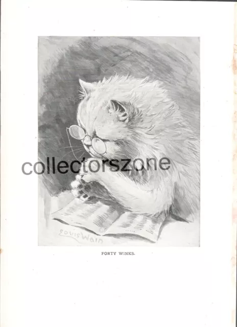 Louis Wain Book Print Cat Reading Forty winks 2 sided print 9 x 7 inch