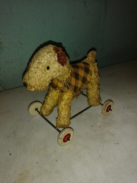 WheelyBug - chien à roulettes | Kaufen auf