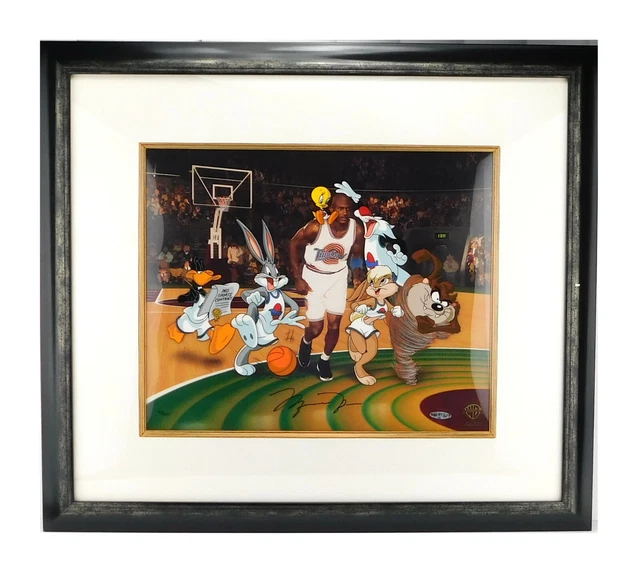 jordan 6 looney tunes