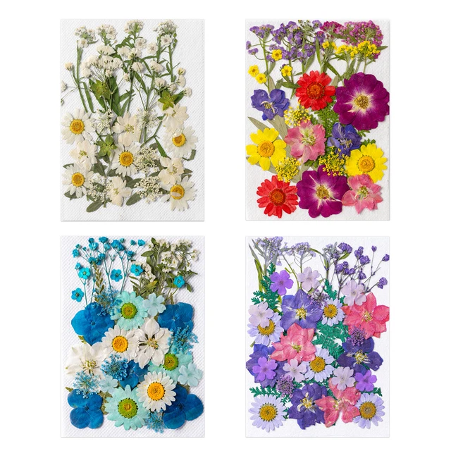 Dried Flower Material Package, Real Pressed Dry Flowers & Leaves Kit, Handmade F