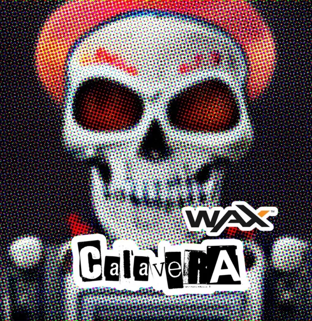 Calaveras NFT PFP  1 Randomly Selected NFT from Series 2001-3000
