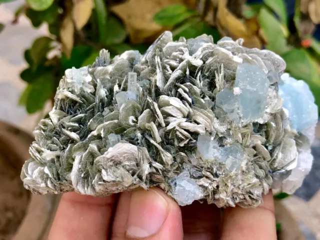 1255 CTS Huge Size Beautiful Aquamarine Crystal with Muscovite Combine specimen