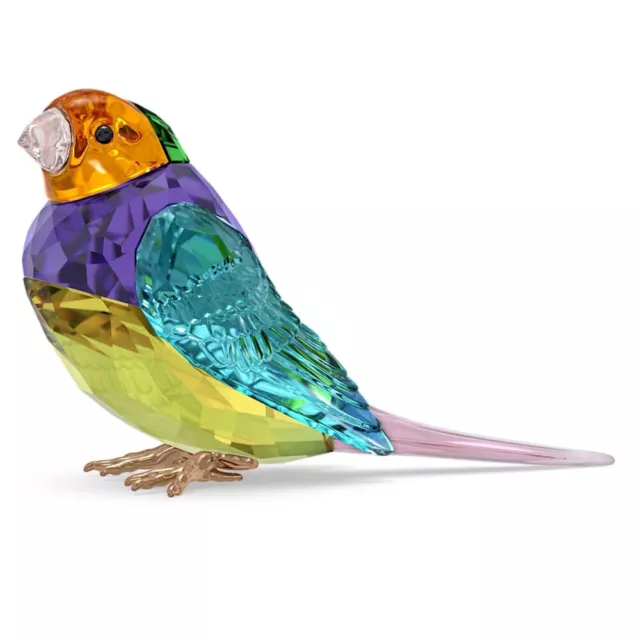 Swarovski SCS Gouldian Finch Small Bird Figurine New in Box