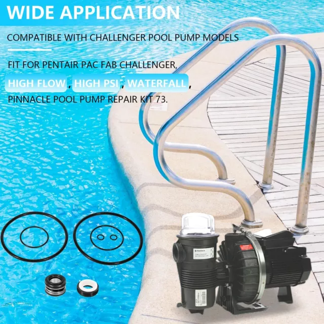 O-Ring Seal Repair Rebuild Kit for Pentair Challenger All Models Pool Pump 2