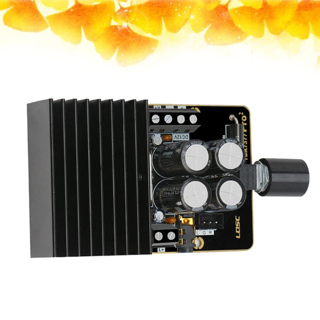 12V Dual Channel Stereo Power Amplifier Module Amplifier Board(Black)