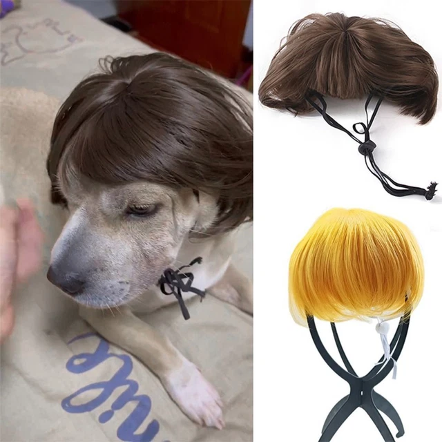 Photography Props Pet Wigs Dog Cat Cross-Dressing Hair  Christmas