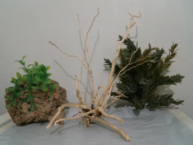 driftwood aquarium terrarium 8x13x14" spiderwood root decor