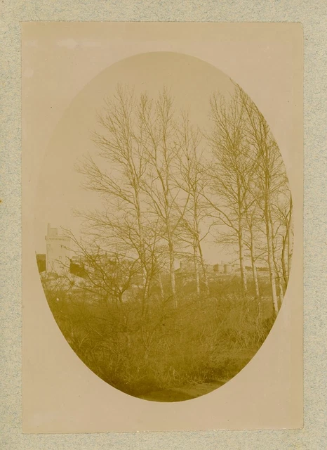 Paysage à identifier  Vintage citrate print.  Tirage citrate  12x18  Circa