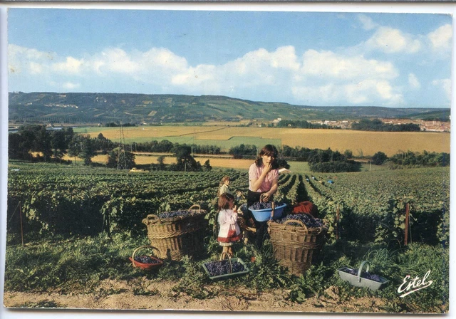 LES VENDANGES. En Maconnais, groupe de Vendangeurs 1905