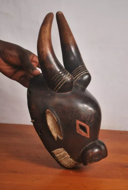 African Tribal Art,amazing Luba  animal  mask from Katanga region  DRC . 4