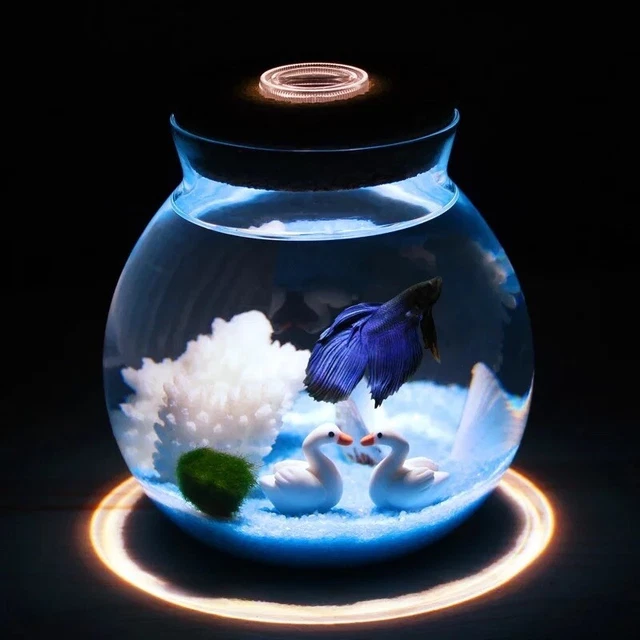 Betta fish bowl With led Light