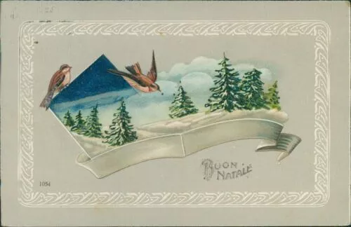 Ansichtskarte Prägekarte um 1910 (Nr.9888) Vögel Winterlandschaft