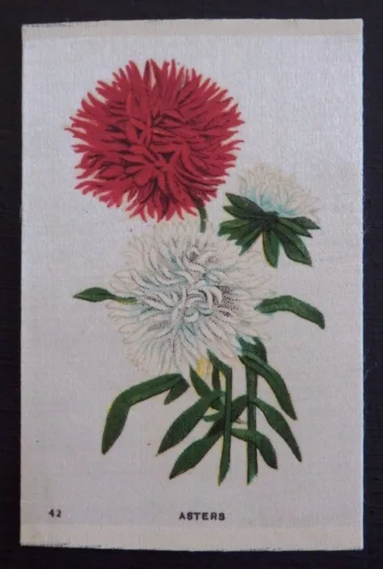 ASTERS Garden Flowers of the World issued in 1913 SILK