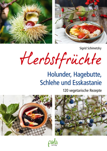 Herbstfrüchte Holunder, Hagebutte, Schlehe ... / pala Verlag / 9783895663789