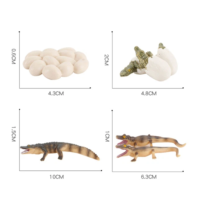 MODELS OF CROCODILE Life Cycle - MONTESSORI BIOLOGY / ZOOLOGY MATERIALS ...